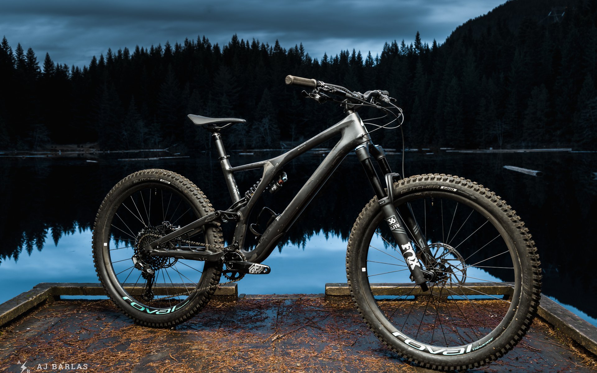 specialized stumpjumper evo pro carbon