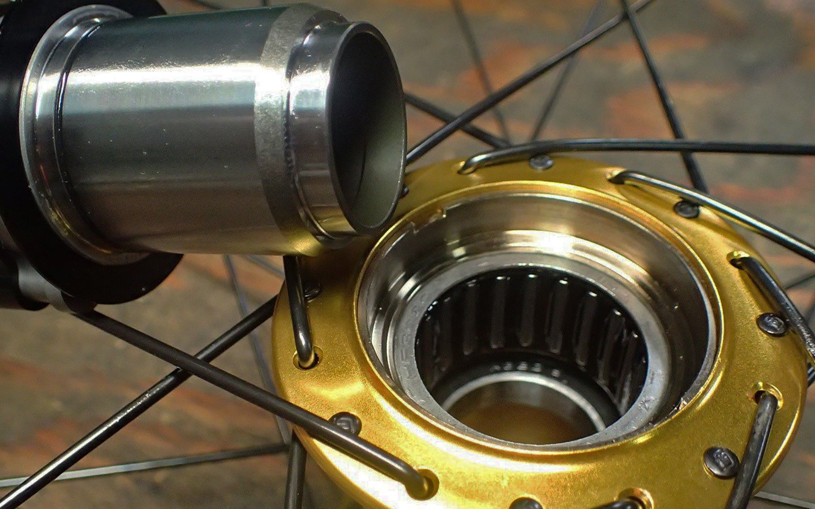 silent rear hub mtb