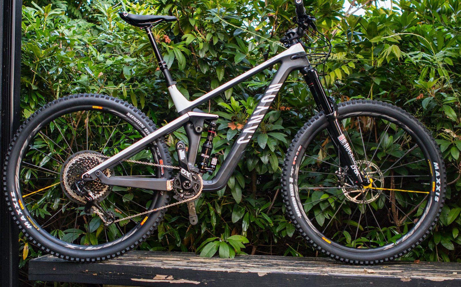 canyon strive bike