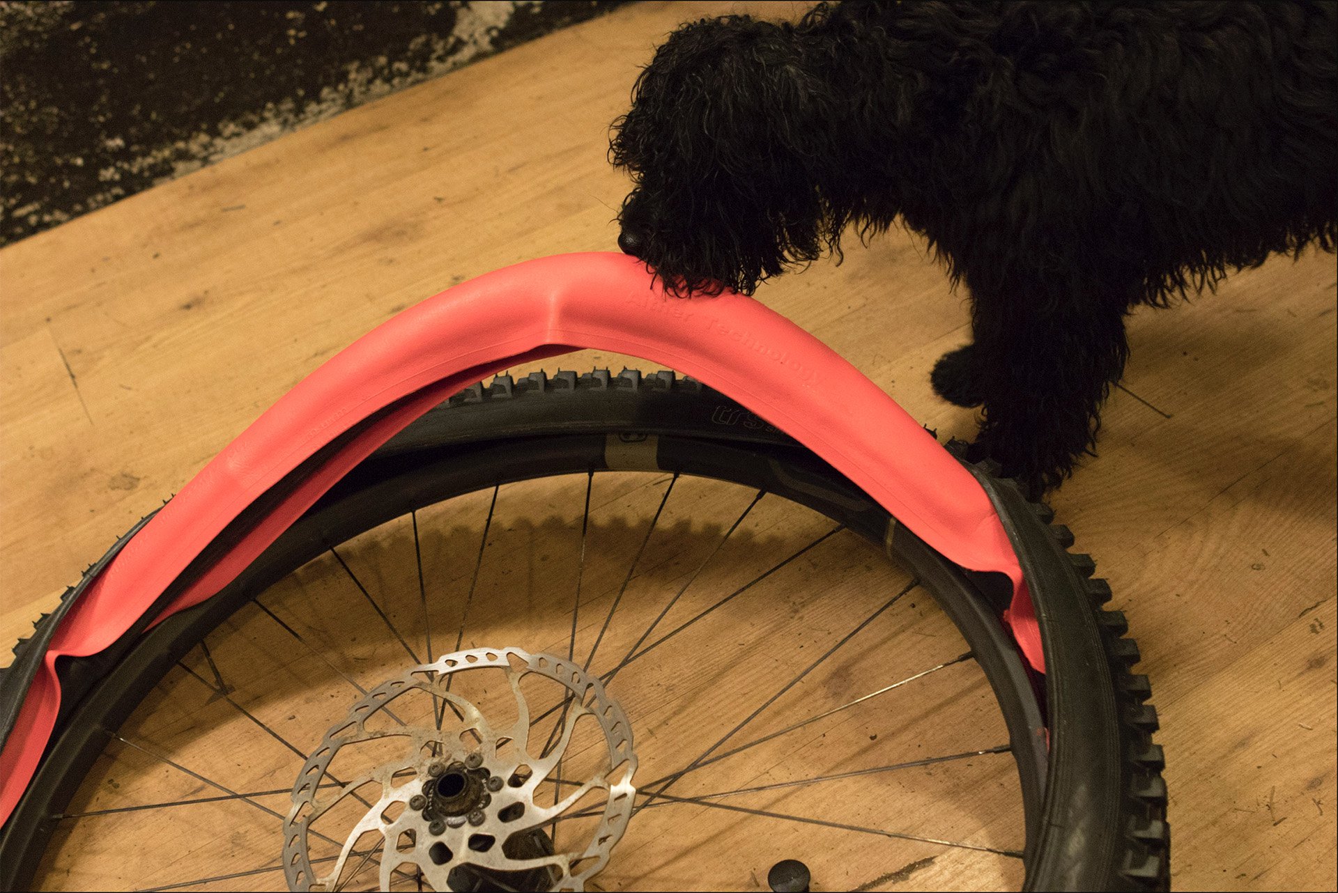 Tannus Armour TUBELESS Inserts Tested