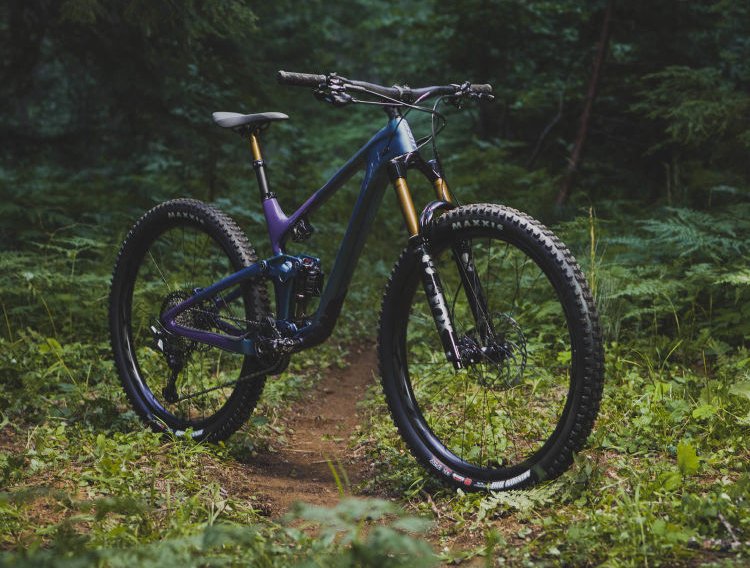 trancexadvpro29_gallery07.jpg