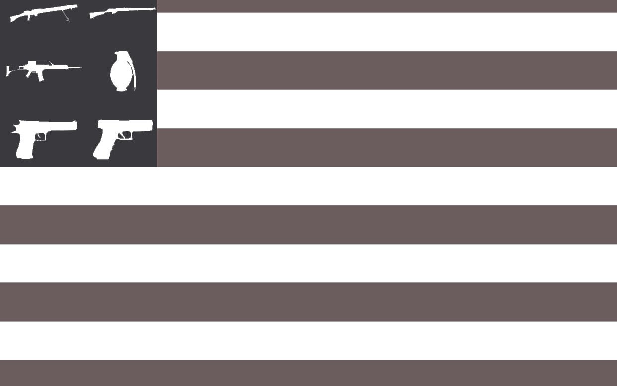 NRA Flag