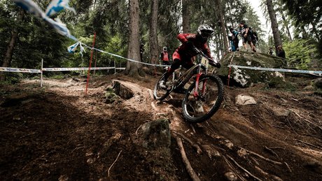 Val di Sole World Cup DH Finals 2018