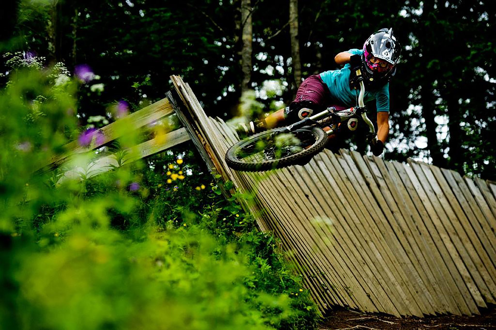 Darcy Wall Ride