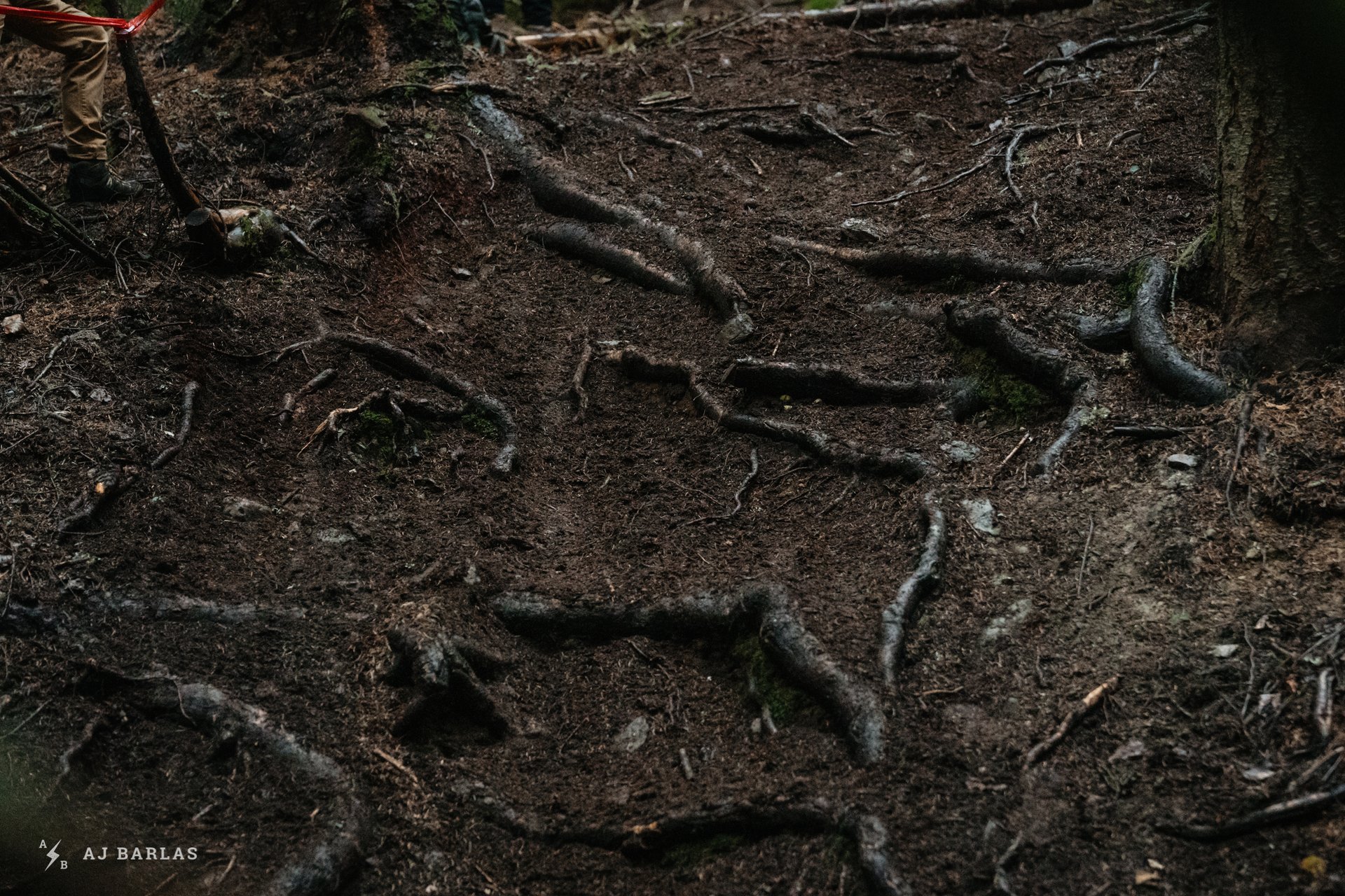 Wet & Wild Roots From Overnight Rain Greeted Racers Stage 2, The First Stage For Day 2