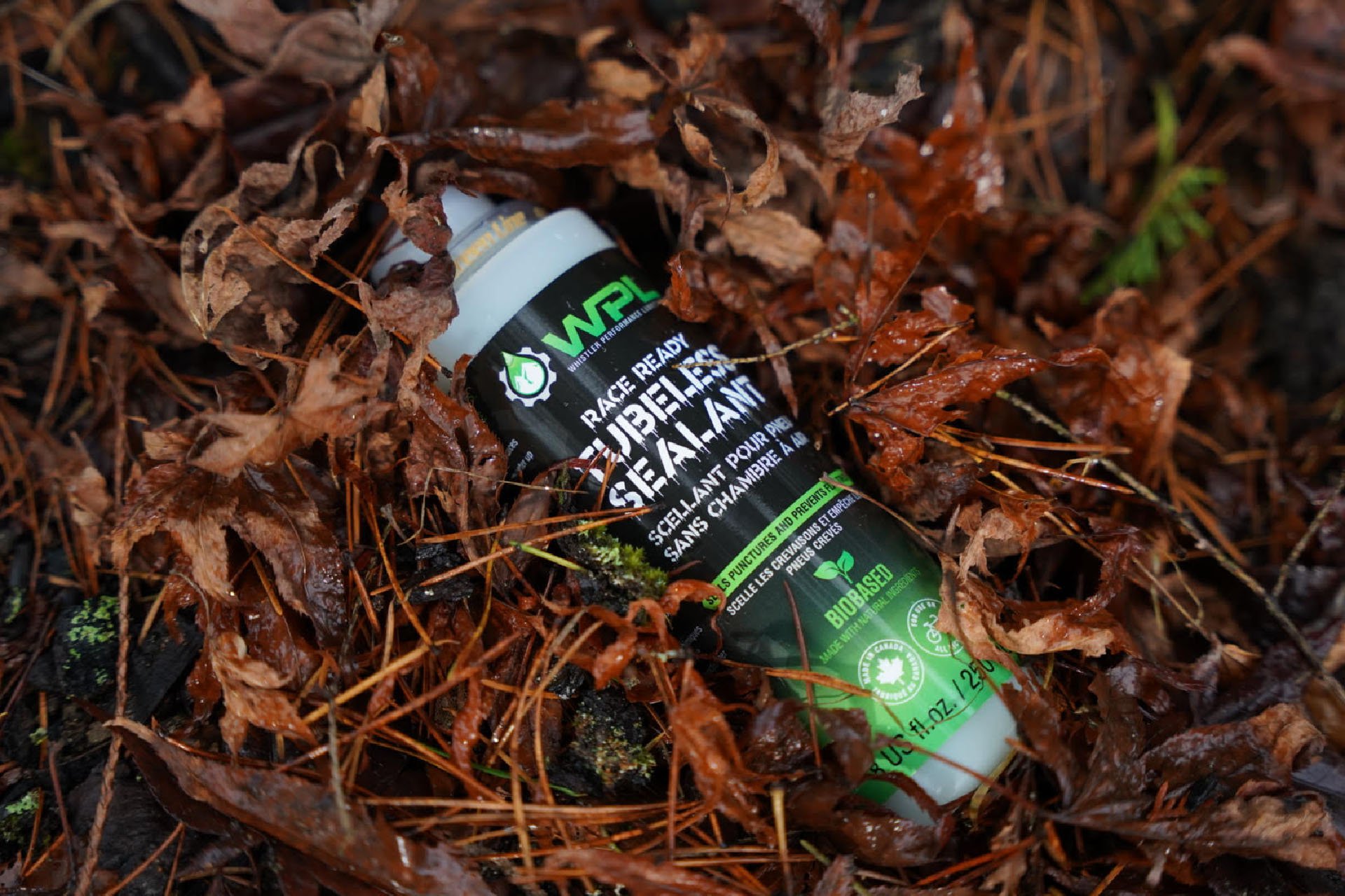 wpl sealant.jpg