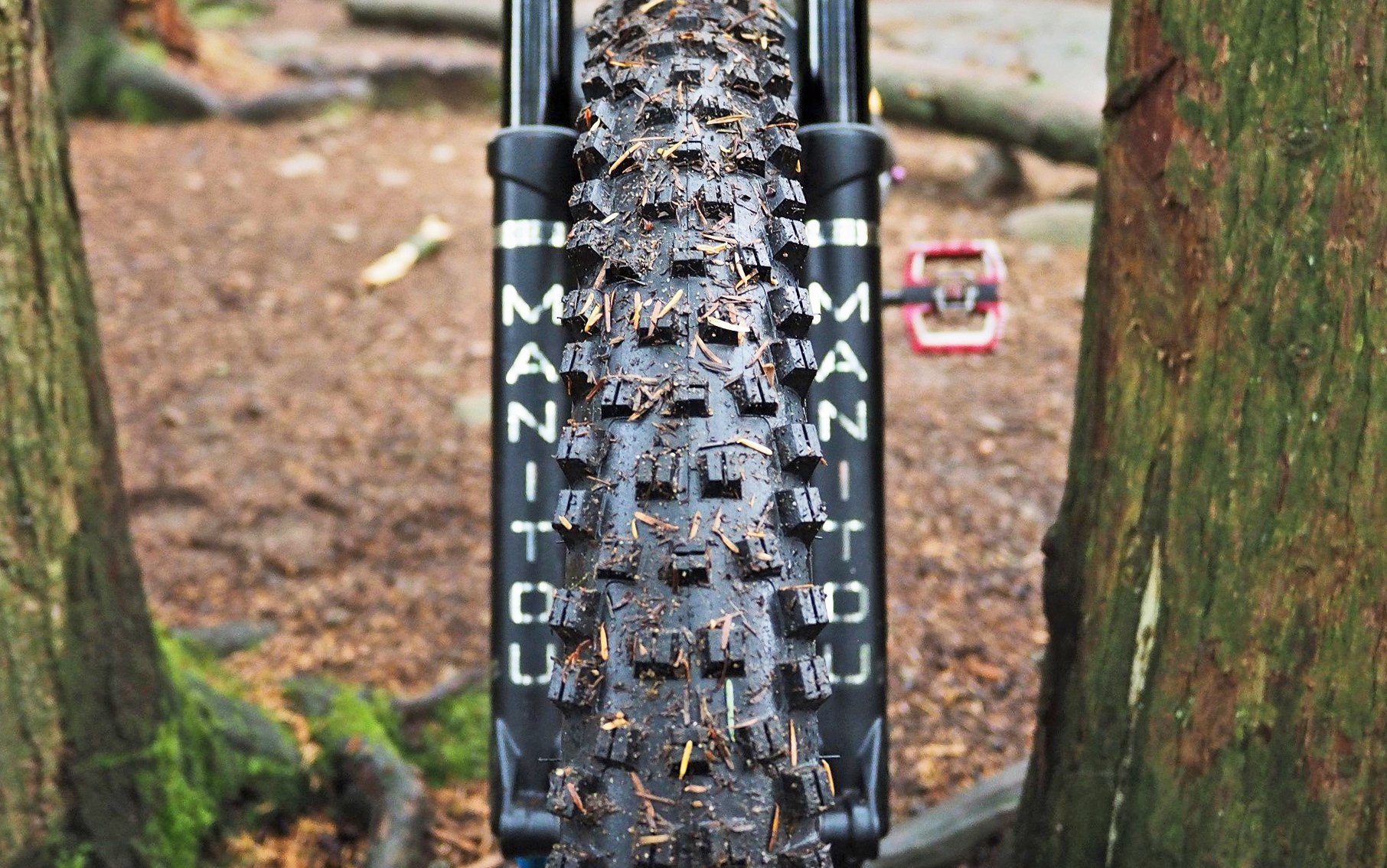 wtb mountain bike tires 29