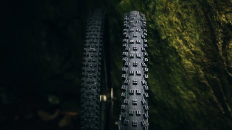 wtb-vigilante-trail-boss-tires-270918-ajbarlas-1495.jpg