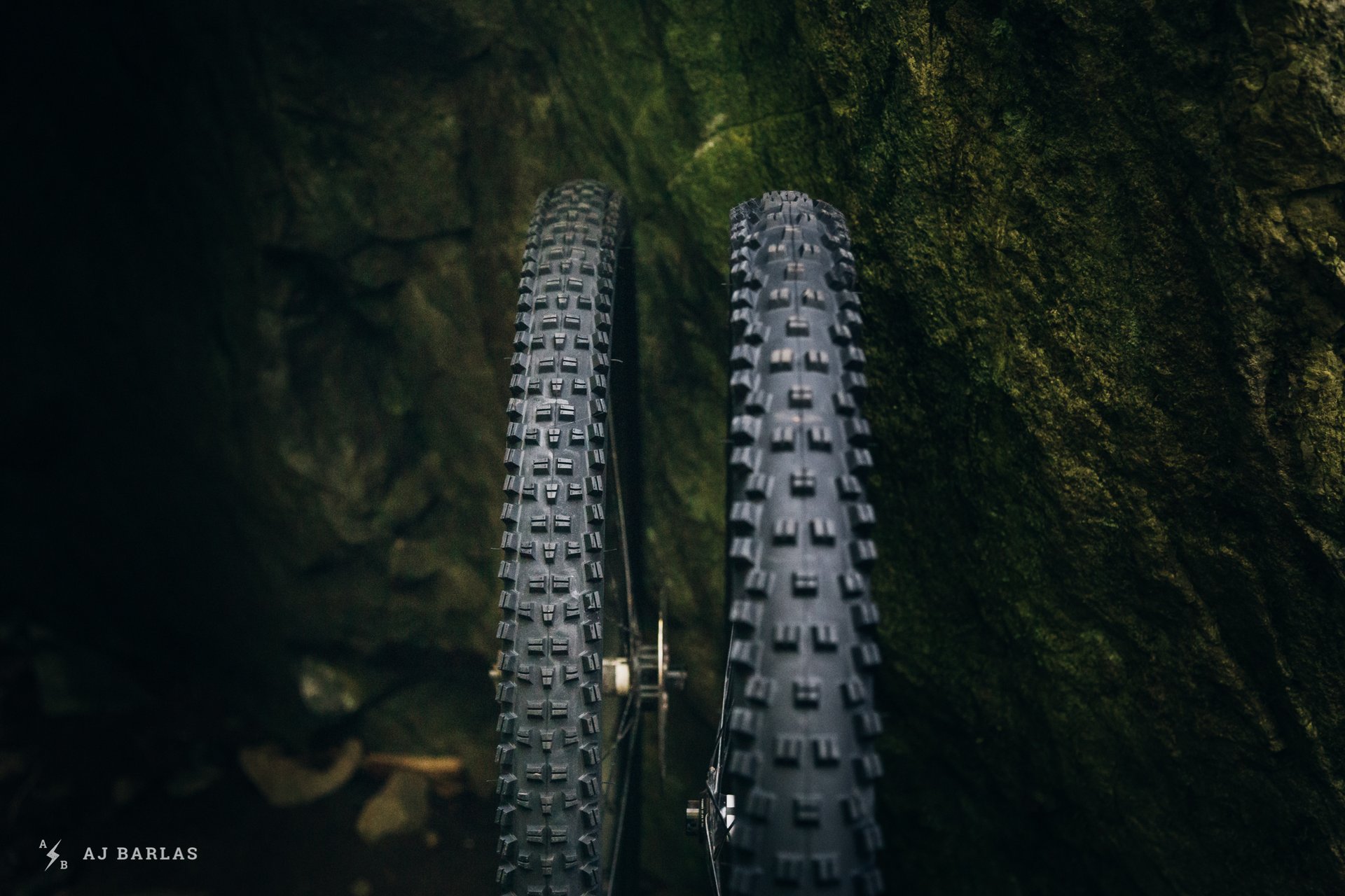 WTB Vigilante Trail Boss Tire Review