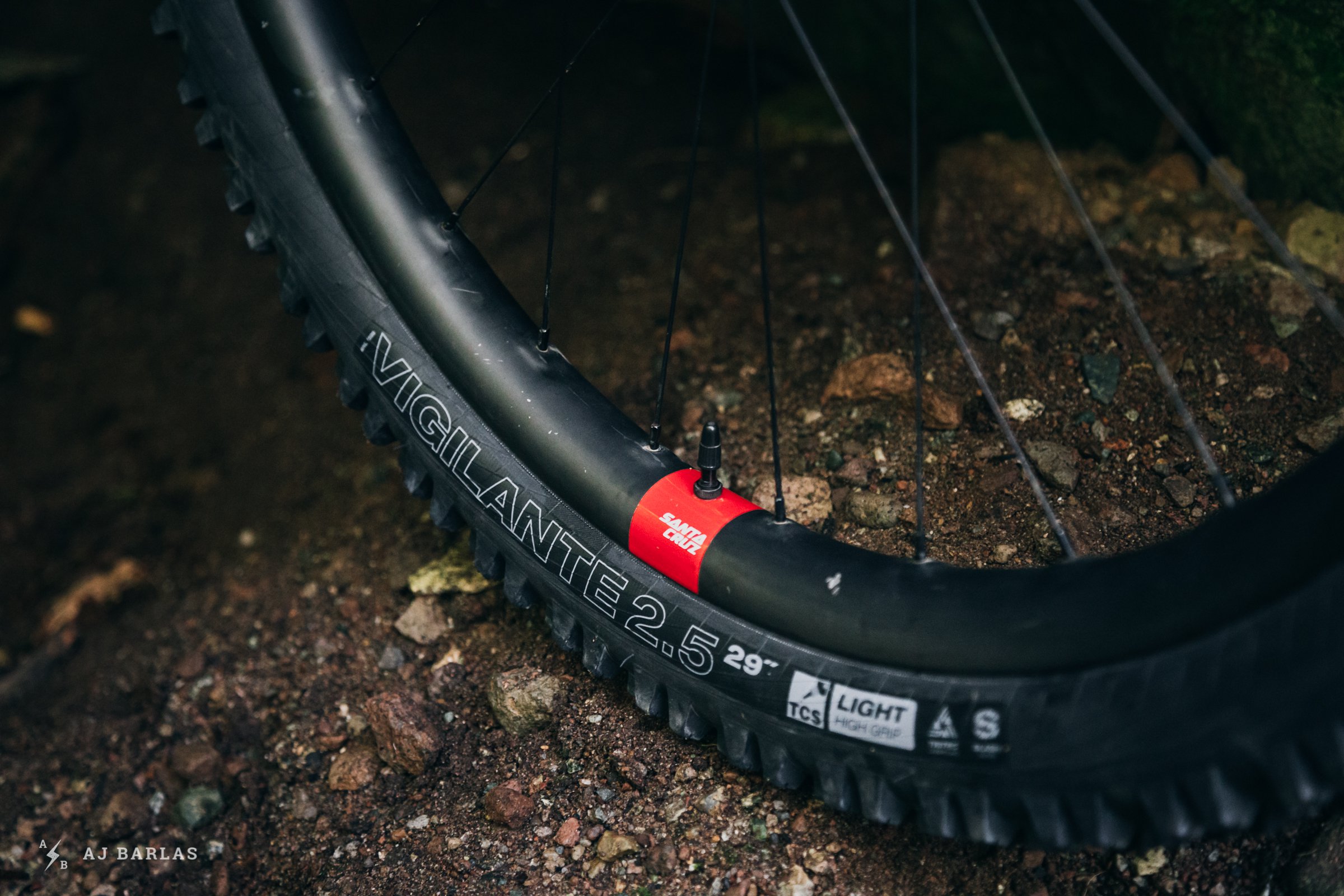 wtb-vigilante-trail-boss-tires-270918-ajbarlas-1523.jpg