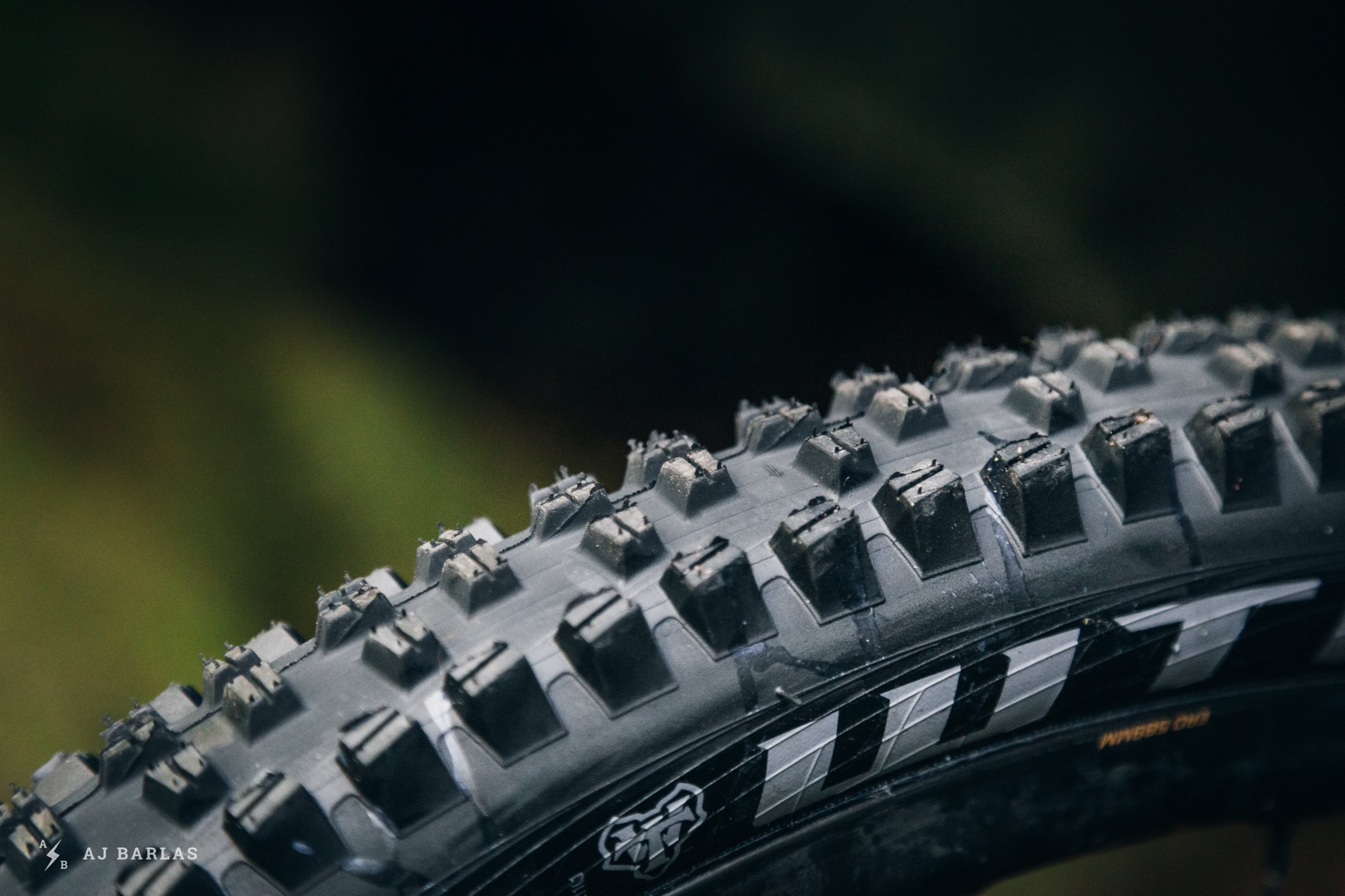 wtb-vigilante-trail-boss-tires-270918-ajbarlas-1507.jpg