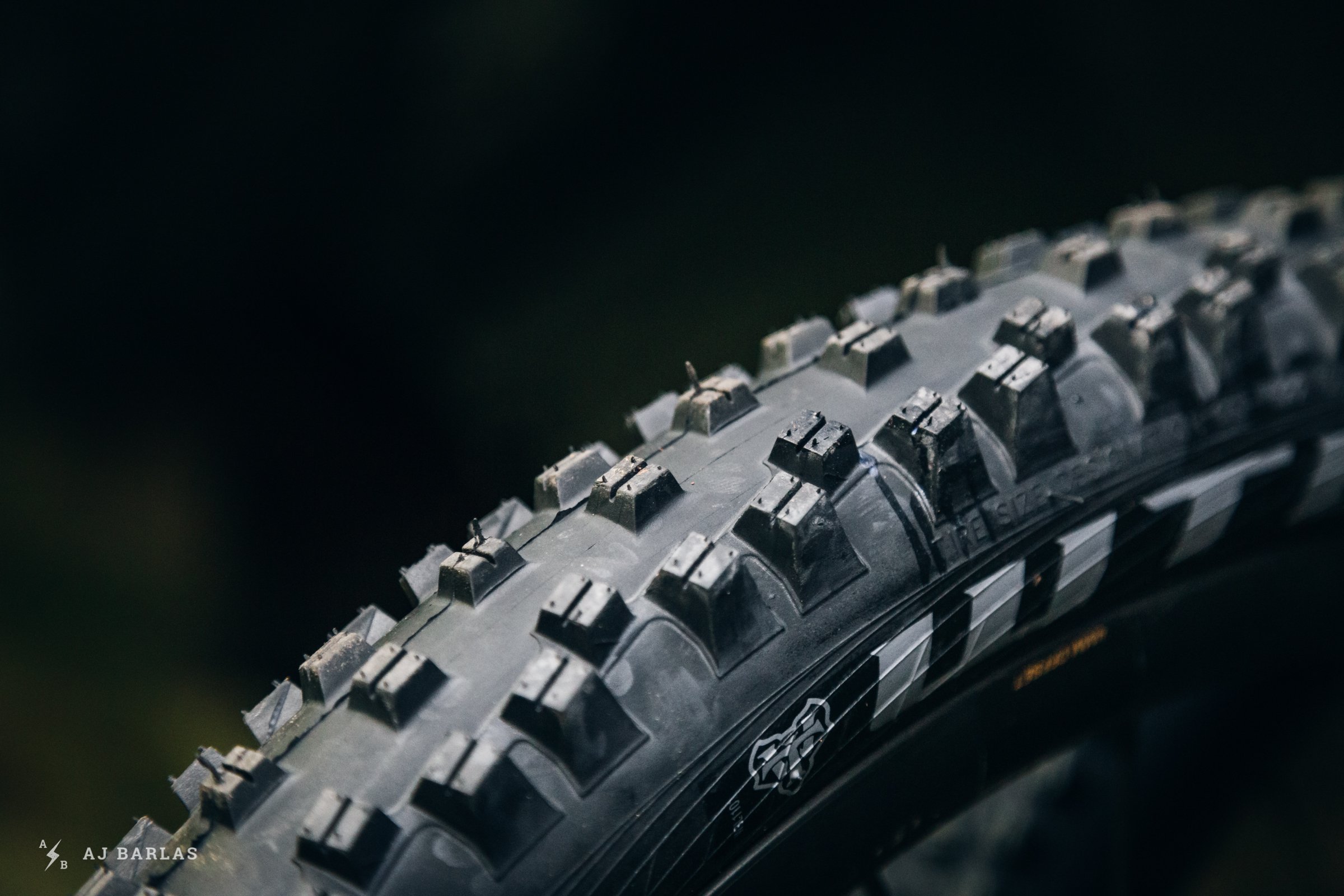 wtb-vigilante-trail-boss-tires-270918-ajbarlas-1503.jpg