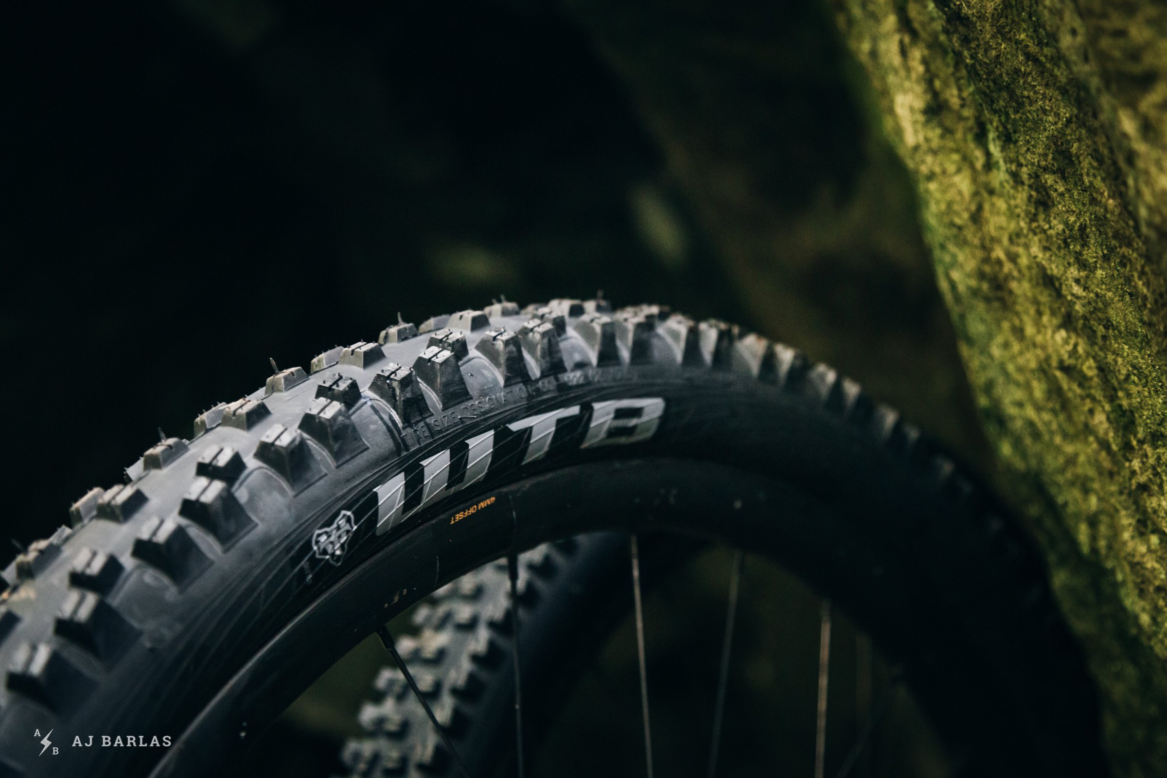 wtb-vigilante-trail-boss-tires-270918-ajbarlas-1499.jpg