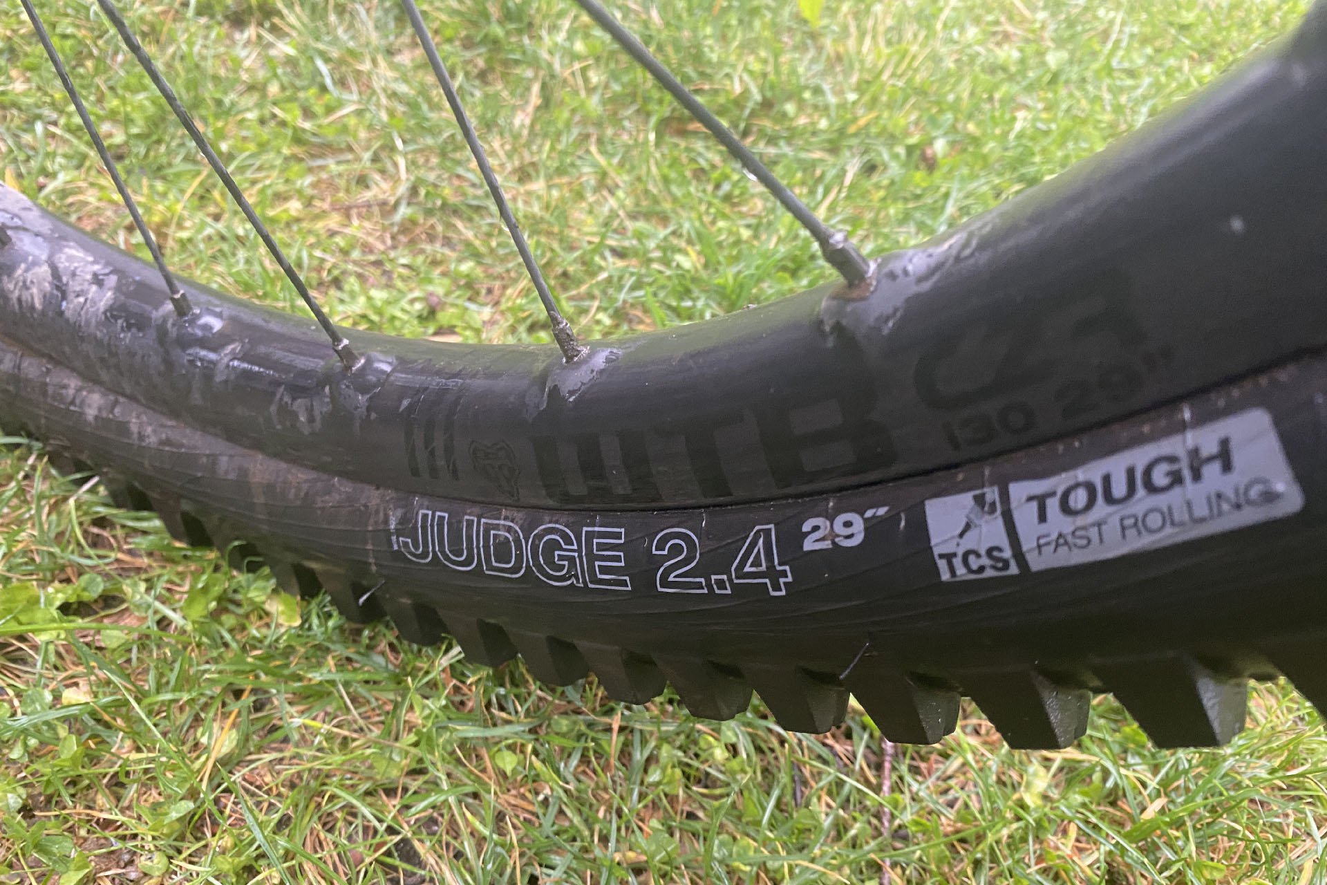 Wtb 2024 carbon rims