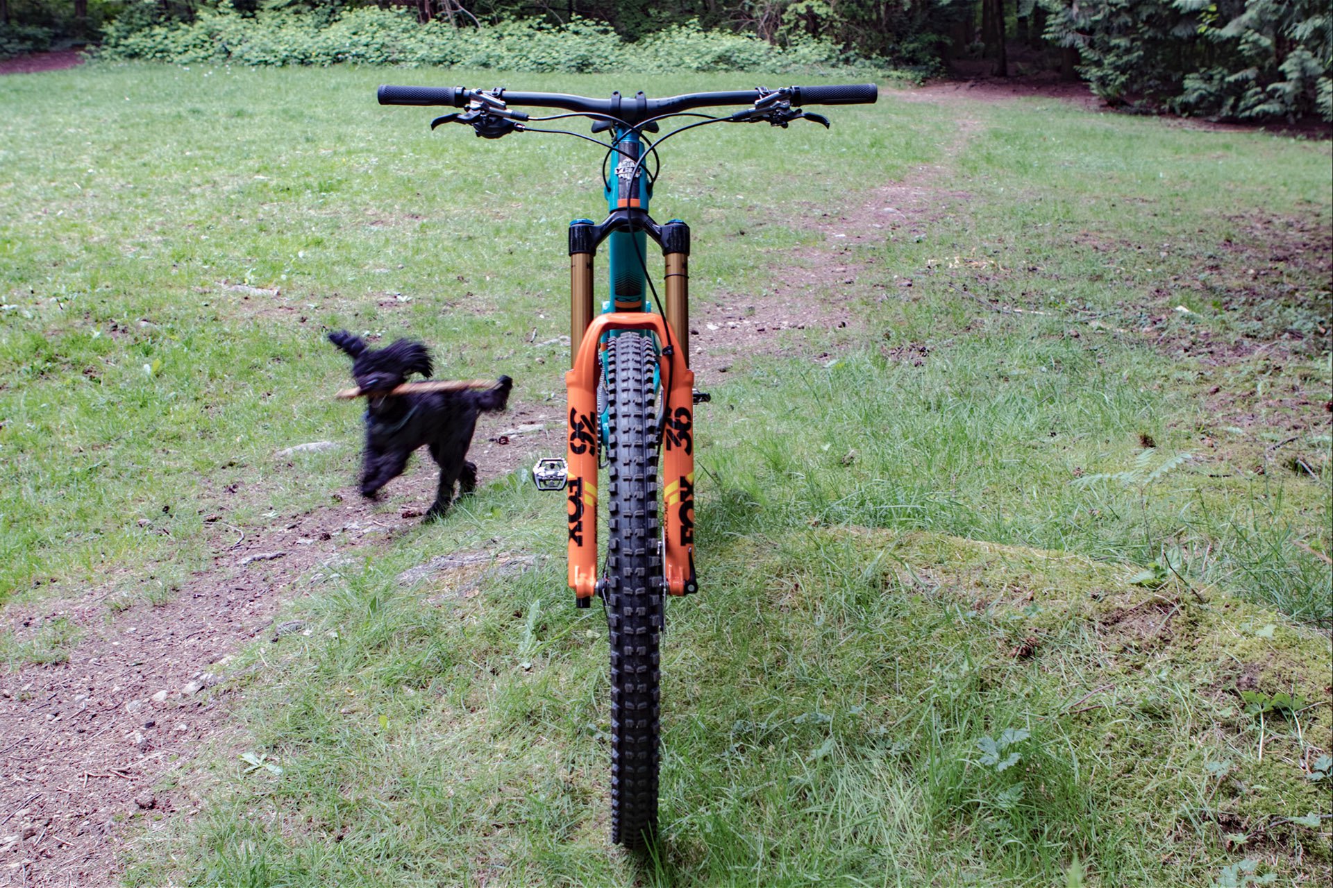 yeti-sb150-3.jpg