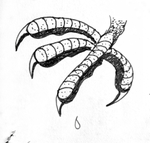 denomerdano