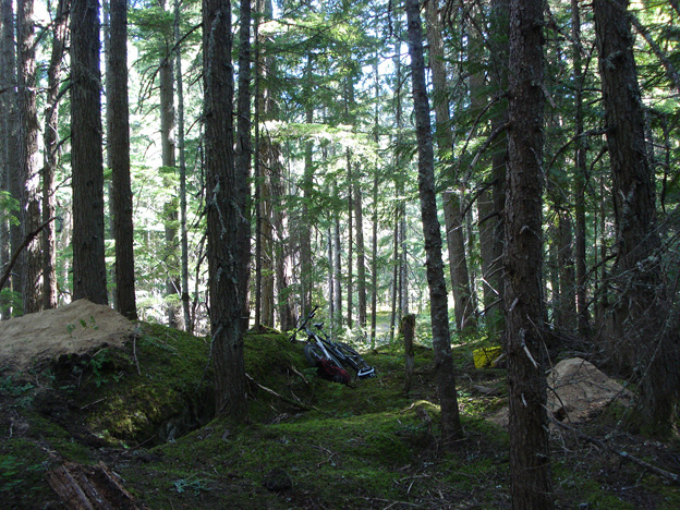 paul stevens, airprentice, ian   morrison, duelling, paul   stevens, whistler  bike park