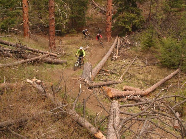 merritt mountain biking BC freeride nsmb