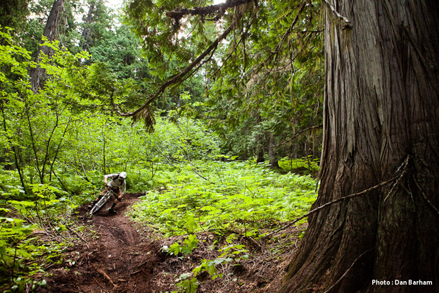 life cycles blog frankowski riley mcintosh mountain bikes evan schwartz