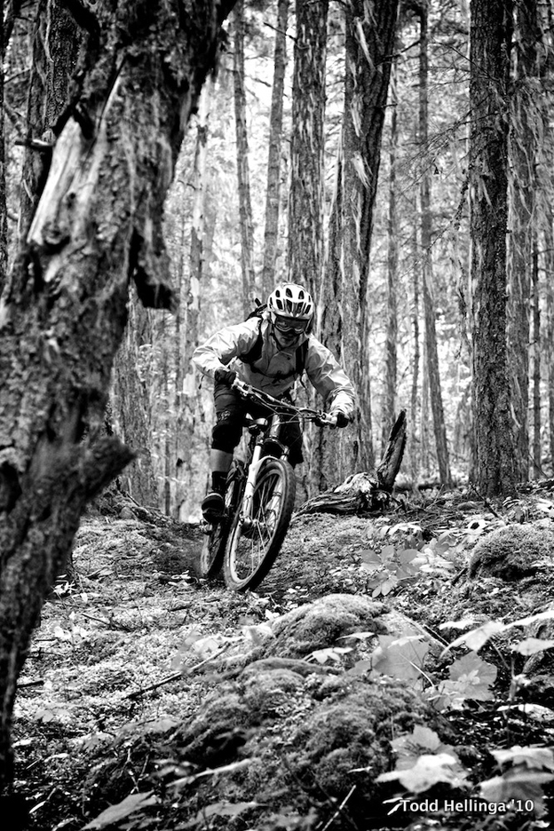 whistler, a line, crankworx, whistler report,  whistler bike park 2010, trail status