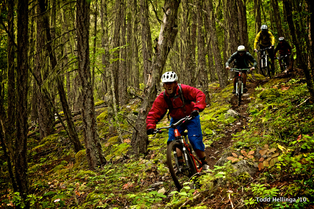 whistler, a line, crankworx, whistler report,  whistler bike park 2010, trail status