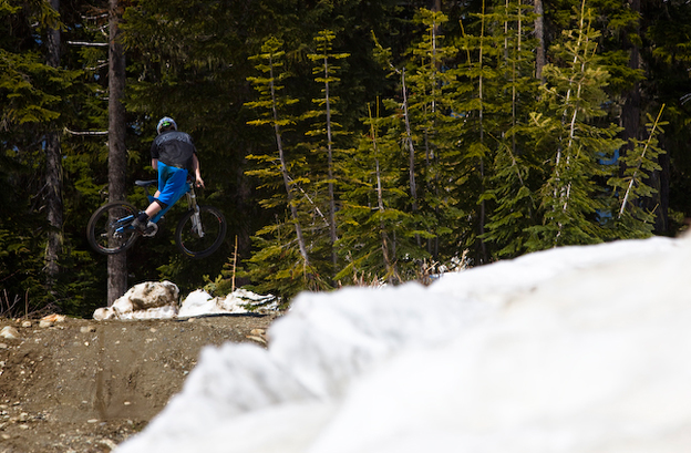 whistler, a line,  whistler report,   whistler bike park 2010,  trail status