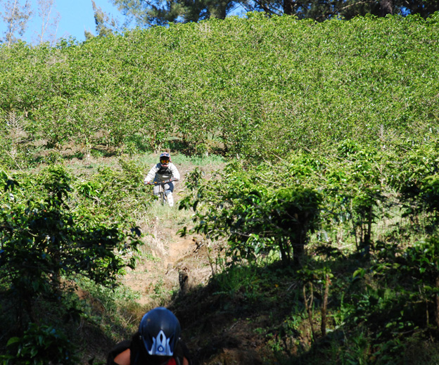 bicycle cafe mountain bike costa rica