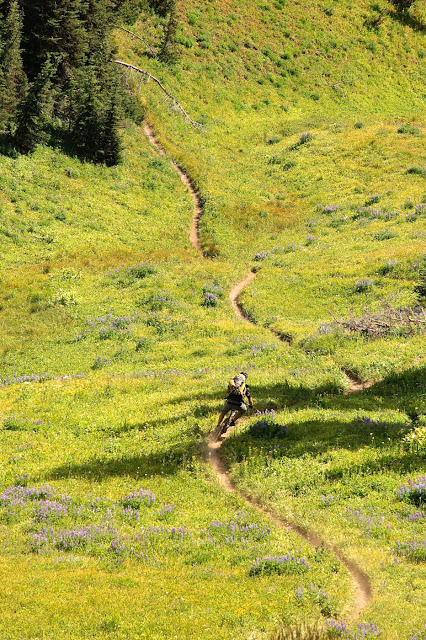 south chilcotins, Norco, mountain biking, back country