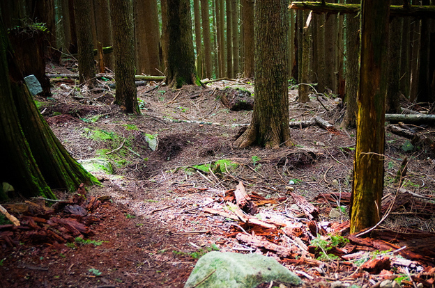 dale's trail, TAP trail day, nsmb.com, nsmba, trail work, maintenance, digger, mountain bike trails, north shore