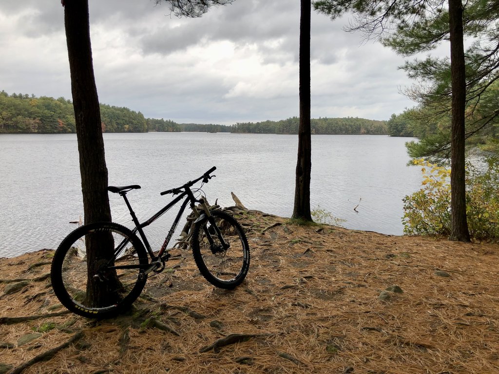 bike leaning